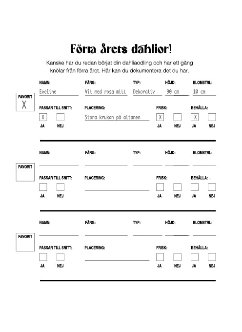 Mina dahlior - En arbetsbok för dahliaälskare