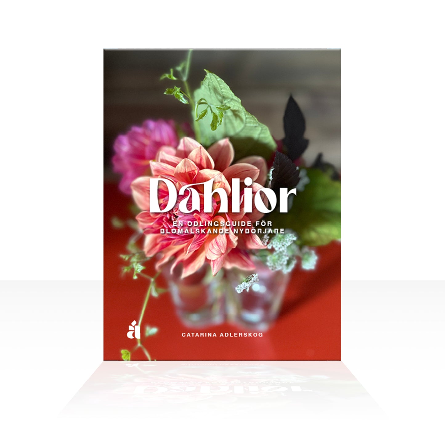 För dig som vill lyckas med dahlior – även som nybörjare